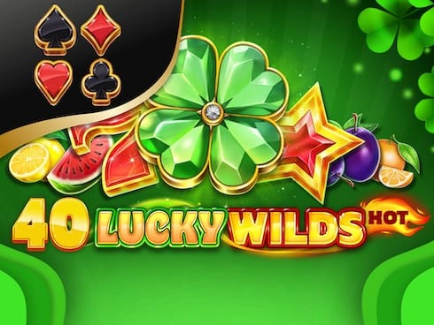 40 لکی وائلڈز ہاٹ game thumbnail