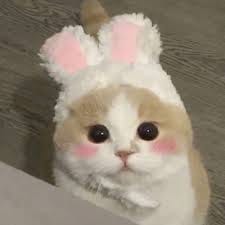 محمد عامر avatar