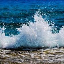 Nashra Sandhu avatar